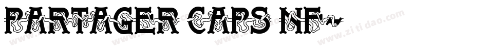 Partager Caps NF字体转换